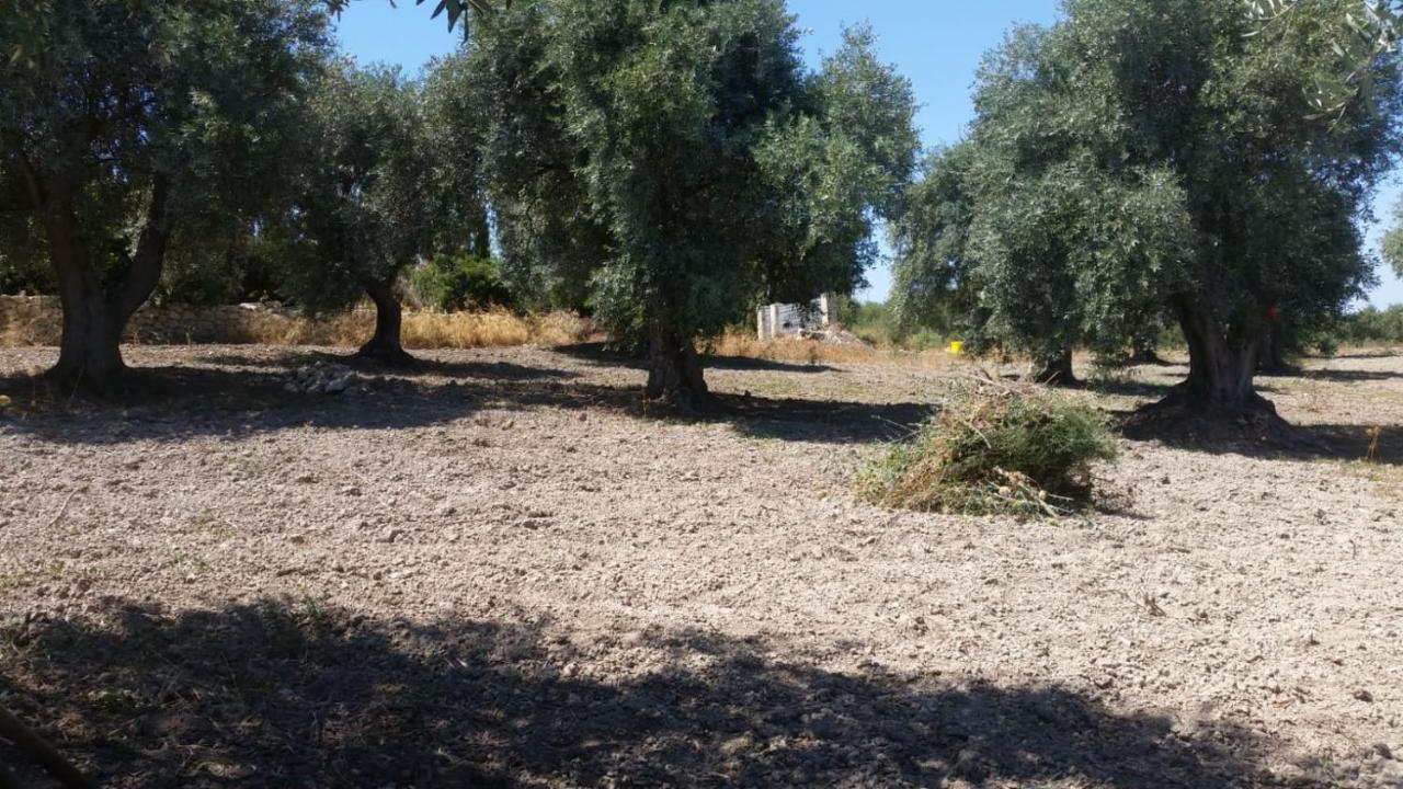 Serra Niedda Resort & Agriturismo Sorso Luaran gambar