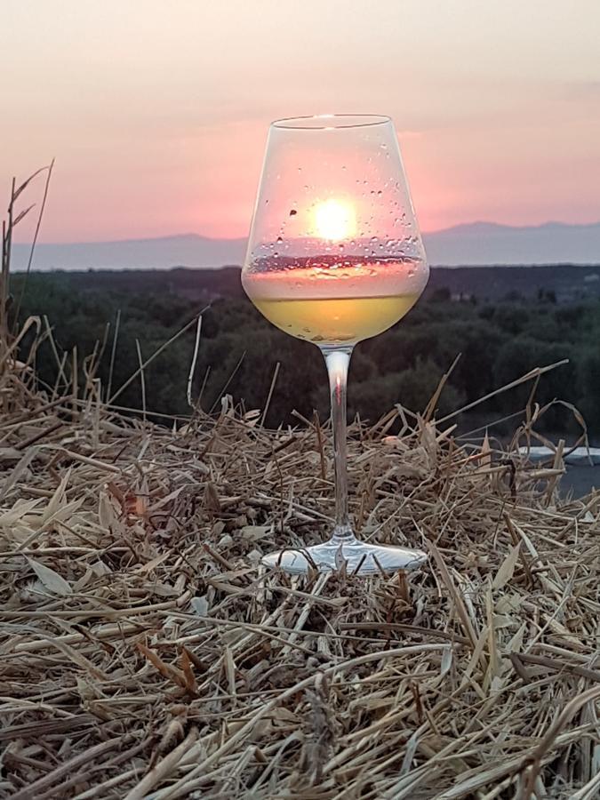 Serra Niedda Resort & Agriturismo Sorso Luaran gambar